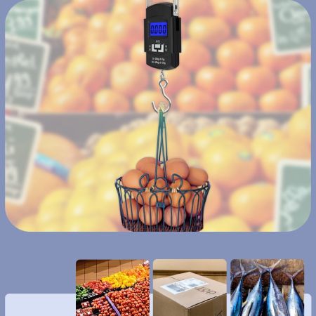 Digital Hanging Weight Scale